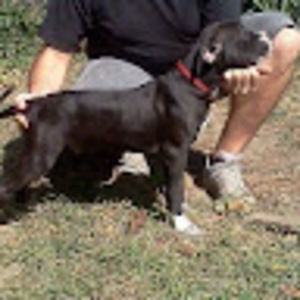 Meet your Posher, Jacob